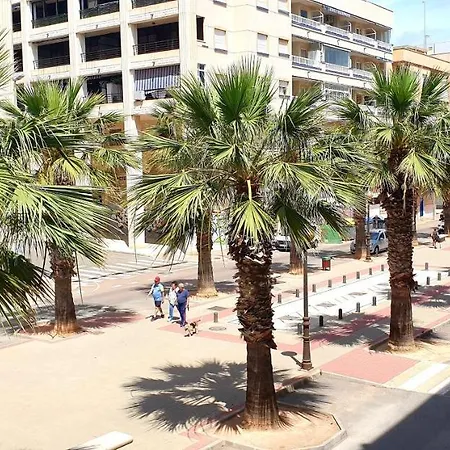 Apartment Guardamar Centro *